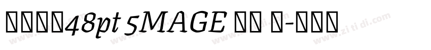 字体大小48pt 5MAGE 预览 简字体转换